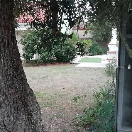 Gonçalo Caldas Da Rainha