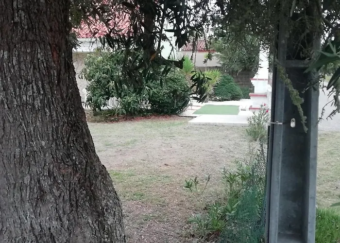 Goncalo Caldas Da Rainha