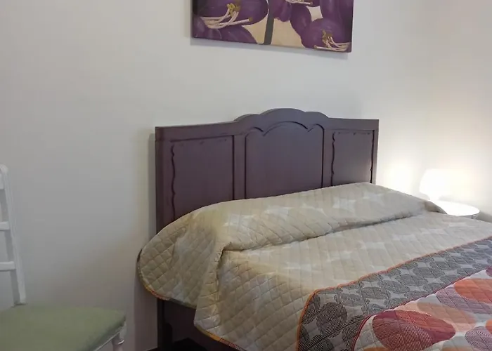 Goncalo Caldas Da Rainha